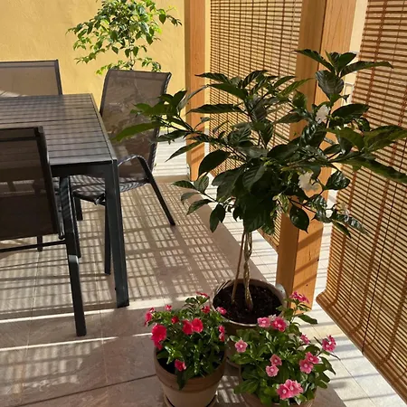 Apartamento La Terrazza Di Nela *