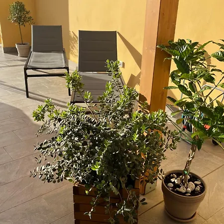 La Terrazza Di Nela Διαμέρισμα *